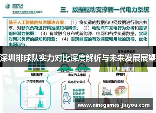 深圳排球队实力对比深度解析与未来发展展望